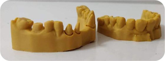 CAD 캠 감광성 수지 복합체 치음 인쇄 모델 3D명