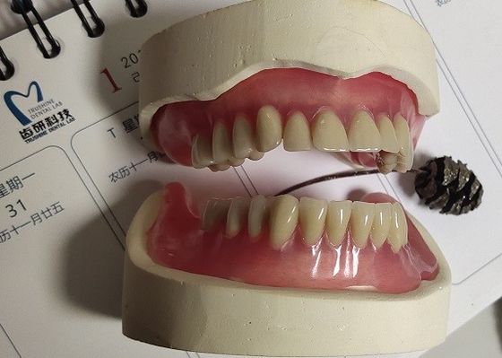 즉시의치 ISO13485 아크릴 국소 의치