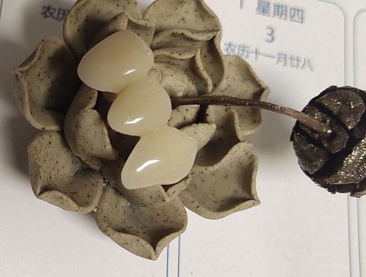 자연스러운 컬러 수지 기반 복합체 크라운